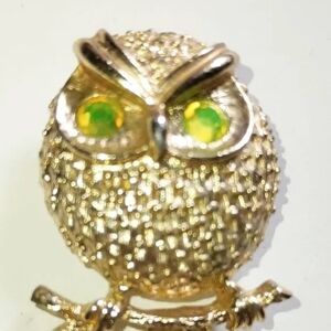 Owl Brooch Sarah Coventry Eyes Change Color Green To Amber